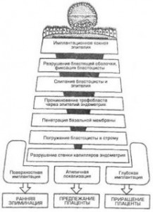 Функциональные расстройства в организме.